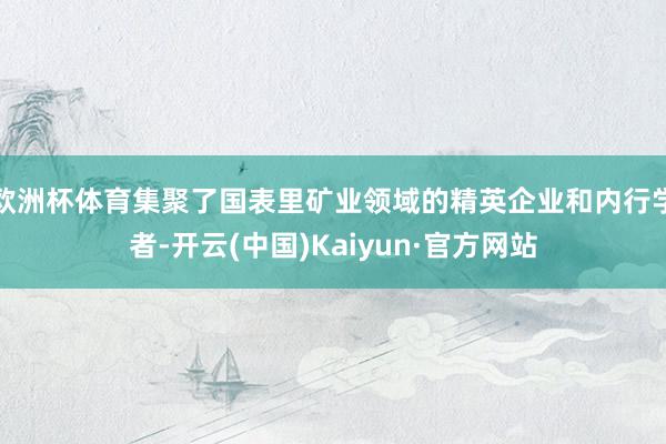 欧洲杯体育集聚了国表里矿业领域的精英企业和内行学者-开云(中国)Kaiyun·官方网站