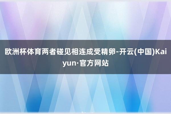 欧洲杯体育两者碰见相连成受精卵-开云(中国)Kaiyun·官方网站