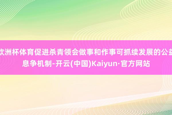 欧洲杯体育促进杀青领会做事和作事可抓续发展的公益息争机制-开云(中国)Kaiyun·官方网站