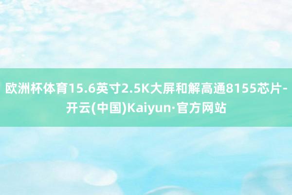 欧洲杯体育15.6英寸2.5K大屏和解高通8155芯片-开云(中国)Kaiyun·官方网站