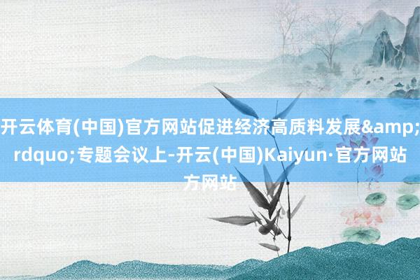 开云体育(中国)官方网站促进经济高质料发展&rdquo;专题会议上-开云(中国)Kaiyun·官方网站