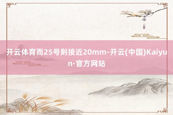 开云体育而25号则接近20mm-开云(中国)Kaiyun·官方网站