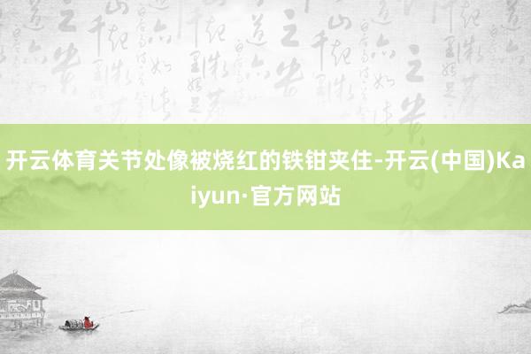 开云体育关节处像被烧红的铁钳夹住-开云(中国)Kaiyun·官方网站
