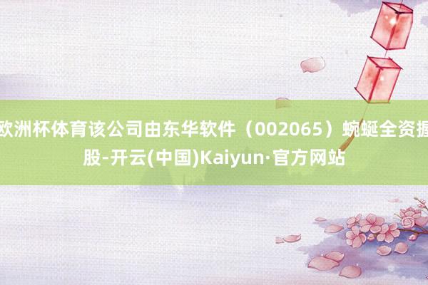 欧洲杯体育该公司由东华软件（002065）蜿蜒全资握股-开云(中国)Kaiyun·官方网站