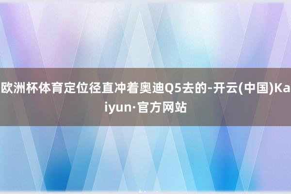 欧洲杯体育定位径直冲着奥迪Q5去的-开云(中国)Kaiyun·官方网站
