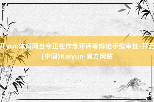 开yun体育网当今正在作念环评等辩论手续审批-开云(中国)Kaiyun·官方网站