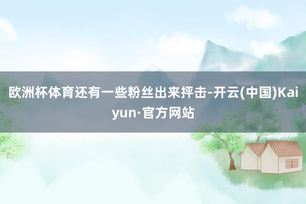欧洲杯体育还有一些粉丝出来抨击-开云(中国)Kaiyun·官方网站