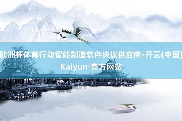 欧洲杯体育行动智能制造软件决议供应商-开云(中国)Kaiyun·官方网站