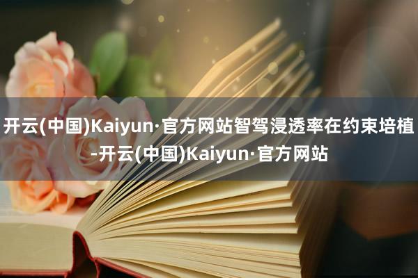 开云(中国)Kaiyun·官方网站智驾浸透率在约束培植-开云(中国)Kaiyun·官方网站