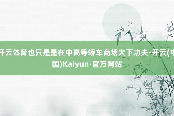 开云体育也只是是在中高等轿车商场大下功夫-开云(中国)Kaiyun·官方网站
