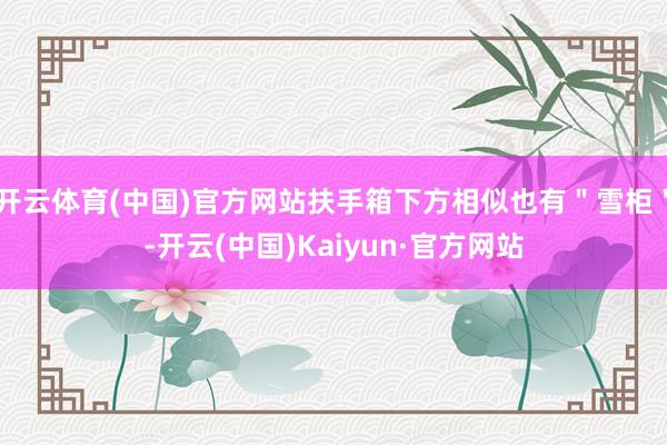 开云体育(中国)官方网站扶手箱下方相似也有"雪柜"-开云(中国)Kaiyun·官方网站