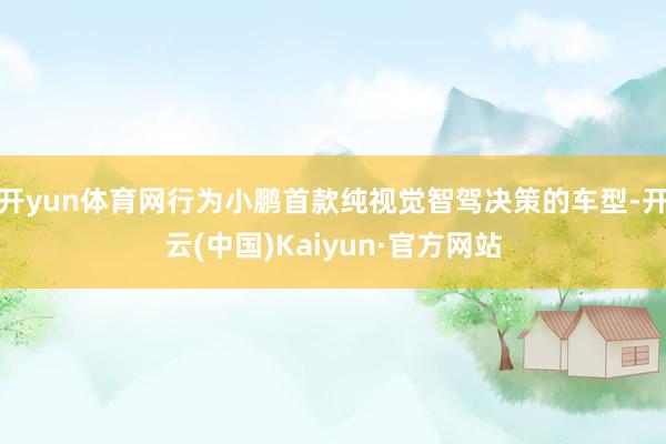 开yun体育网行为小鹏首款纯视觉智驾决策的车型-开云(中国)Kaiyun·官方网站