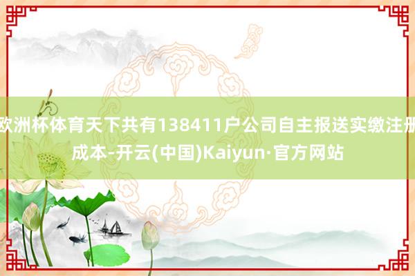 欧洲杯体育天下共有138411户公司自主报送实缴注册成本-开云(中国)Kaiyun·官方网站