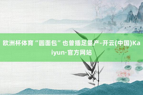 欧洲杯体育“圆面包”也曾插足量产-开云(中国)Kaiyun·官方网站