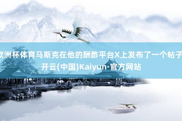 欧洲杯体育马斯克在他的酬酢平台X上发布了一个帖子-开云(中国)Kaiyun·官方网站