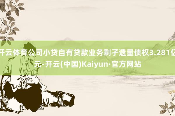 开云体育公司小贷自有贷款业务剩孑遗量债权3.281亿元-开云(中国)Kaiyun·官方网站