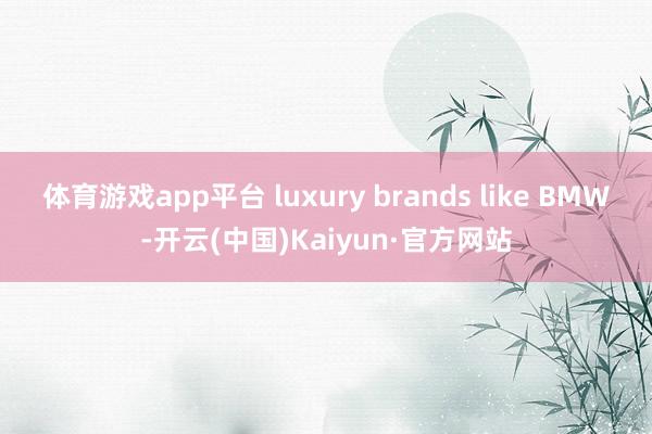 体育游戏app平台 luxury brands like BMW-开云(中国)Kaiyun·官方网站