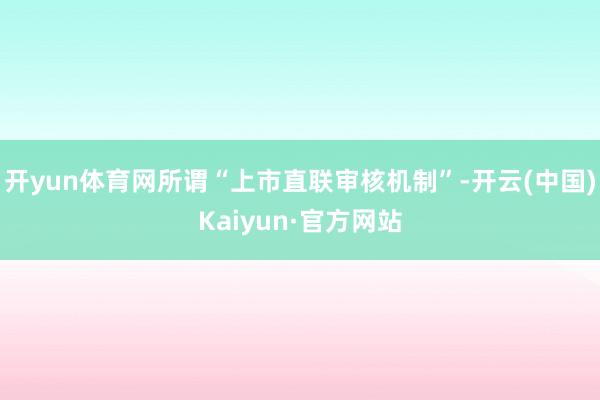 开yun体育网所谓“上市直联审核机制”-开云(中国)Kaiyun·官方网站