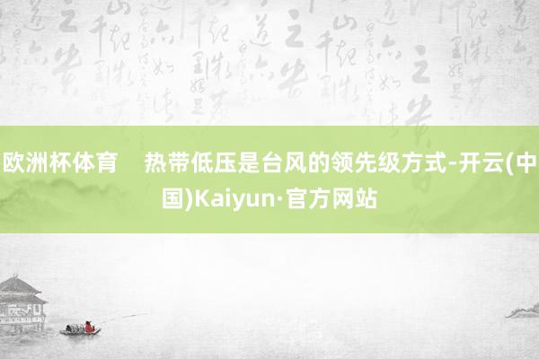 欧洲杯体育    热带低压是台风的领先级方式-开云(中国)Kaiyun·官方网站