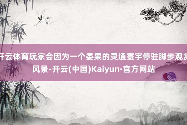 开云体育玩家会因为一个委果的灵通寰宇停驻脚步观赏风景-开云(中国)Kaiyun·官方网站