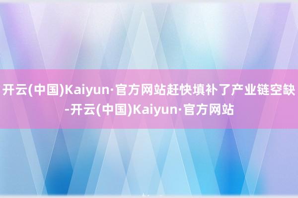 开云(中国)Kaiyun·官方网站赶快填补了产业链空缺-开云(中国)Kaiyun·官方网站