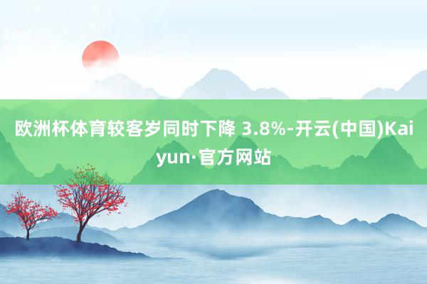 欧洲杯体育较客岁同时下降 3.8%-开云(中国)Kaiyun·官方网站